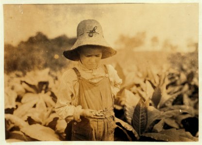 Ora Fugate, 10 years old worming tobacco. They said they do not worm in middle of day when hot, but work right through when 'suckering.' See 4400. LOC nclc.00451
