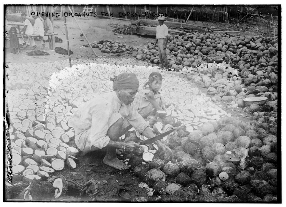 Opening Coconuts for Copra, Pagsanjan, P.I. LCCN2014702538