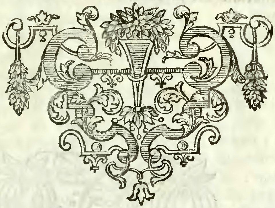 Ordini della magnifica comunità di Alzano di Sotto teritorio di Bergamo tradotti dal latino al volgare per me pre Giovanni Carara di Serina (page 11 crop)