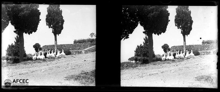 Oques al pati d'una masia de Montagut i Oix
