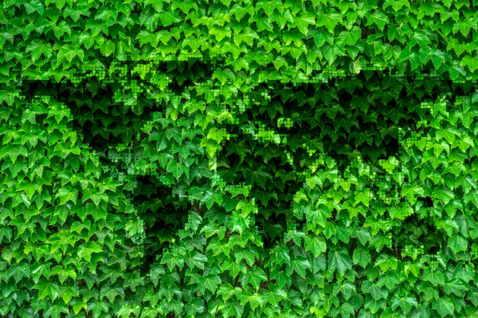 World environment plant