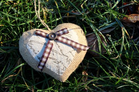 Symbol valentine's day nature