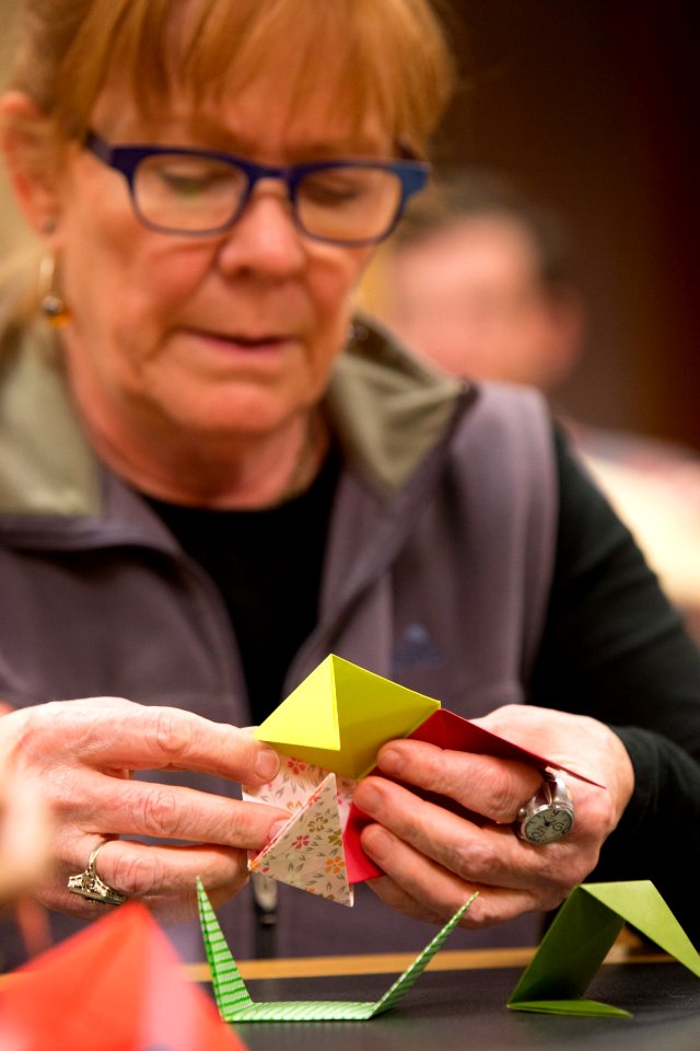 Origami Workshop (16386541883)