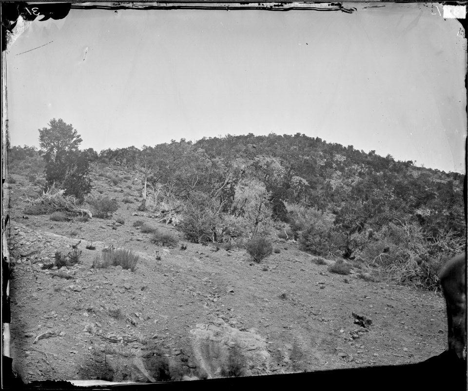 PAHRANAGET LAKE DISTRICT, NEVADA - NARA - 524134