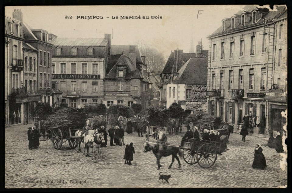 Paimpol - Marché au Bois - AD22 - 16FI2738