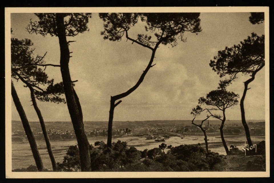 Paimpol - Vue générale à travers les pins - AD22 - 16FI2689
