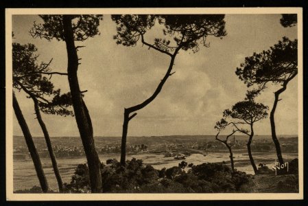 Paimpol - Vue générale à travers les pins - AD22 - 16FI2689