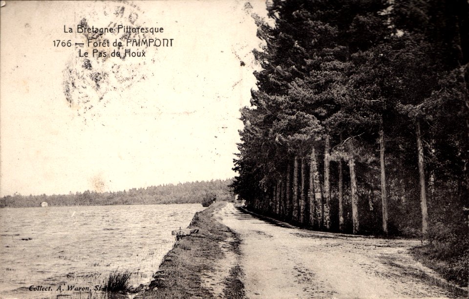 Paimpont - Pas du houx