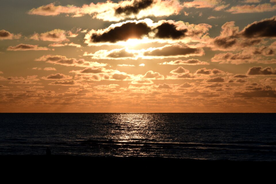 Sea sun colorful sunset