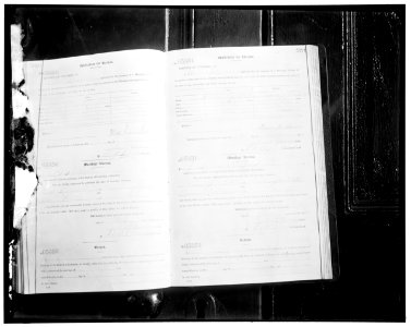 Pages from the D.C. marriage license records LOC hec.13456