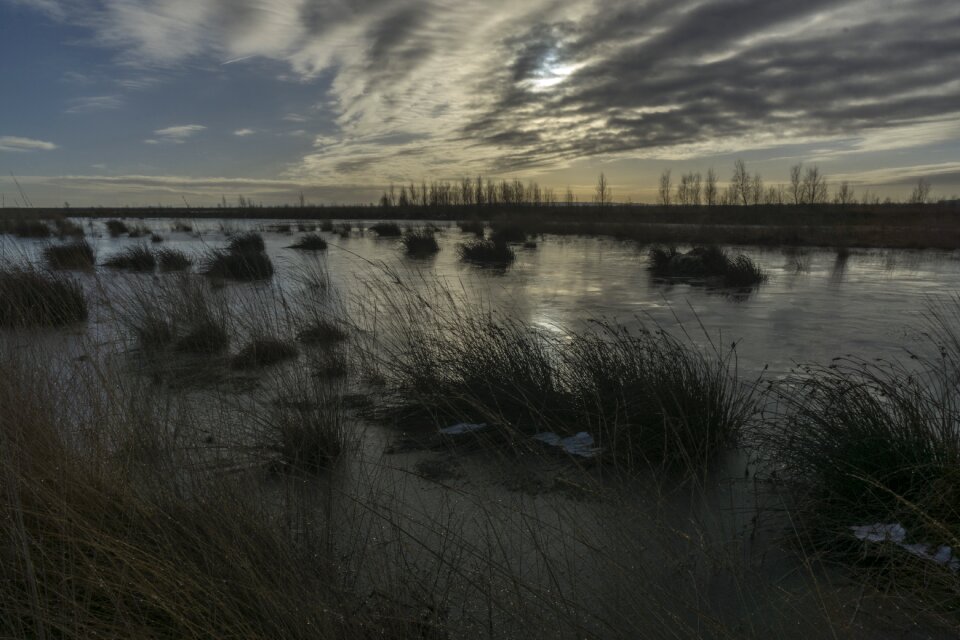 Landscape moor moorland photo