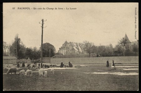 Paimpol - Coin du Champ de foire - AD22 - 16FI2737