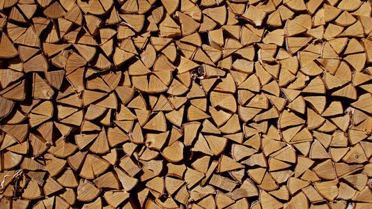 Background tree firewood