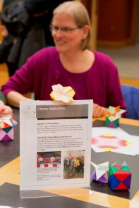 Origami Workshop (16386546943)