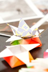 Origami Workshop (16818914858)