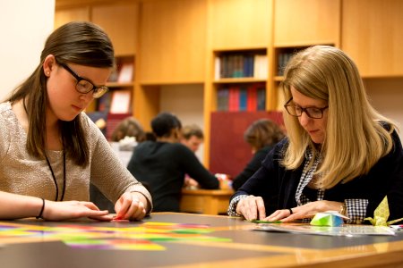 Origami Workshop (17005246302)