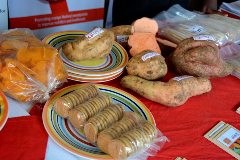 Orange-Fleshed Sweet Potato Value Chain (23463701639)