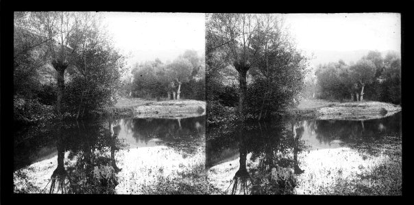 Paisatge amb un riu i un bosc