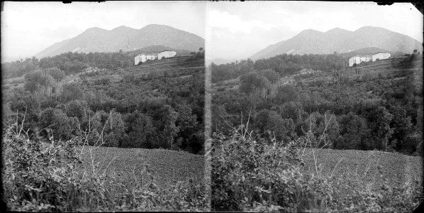Paisatge boscós amb una masia