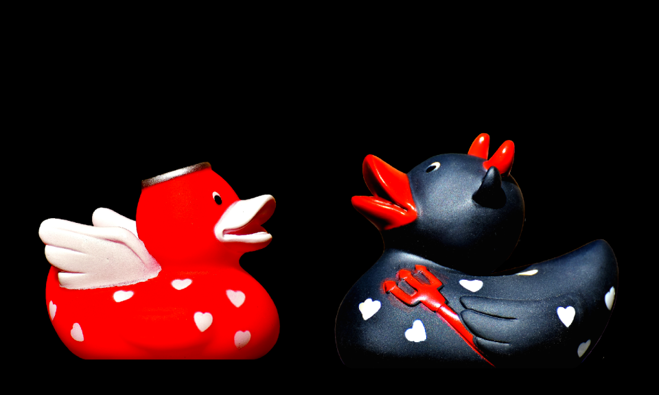 Rubber ducks angel duck