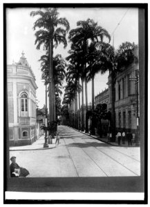 Palm Ave. Para, Brazil LCCN2016820991