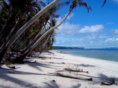 Palm trees overhanging a beach on Guam (line379737836)
