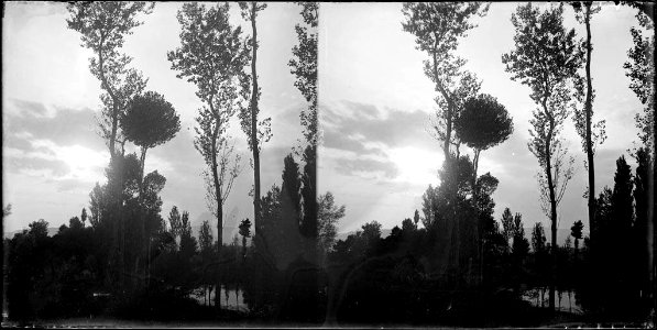 Paisatge amb un canal voltat d'arbres i amb núvols