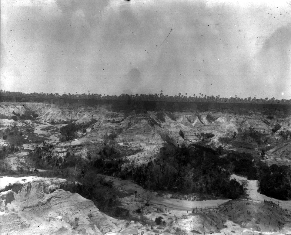Palmstrand i bakgrunden. Amborovy. Madagaskar - SMVK - 022003