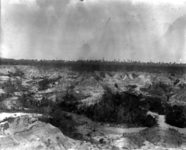 Palmstrand i bakgrunden. Amborovy. Madagaskar - SMVK - 022003