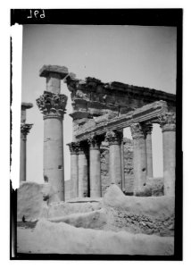Palmyra (Tadmor). Capitals of pillars in Temple of the Sun LOC matpc.12340