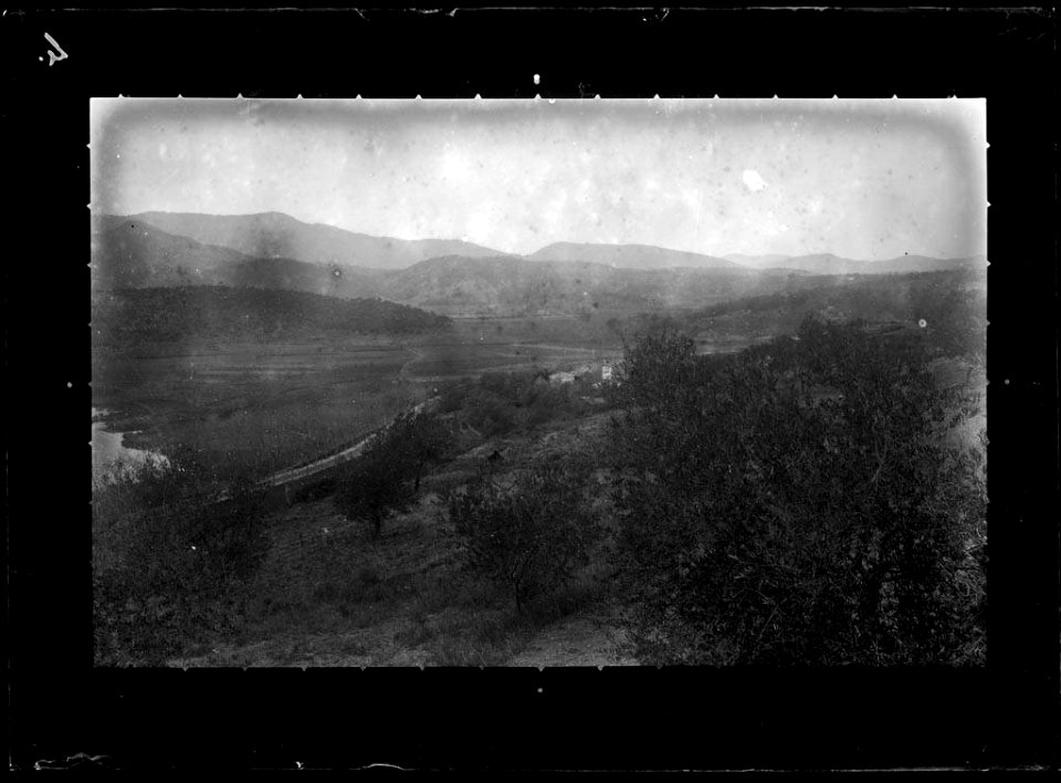 Paisatge de muntanya amb unes oliveres en primer terme