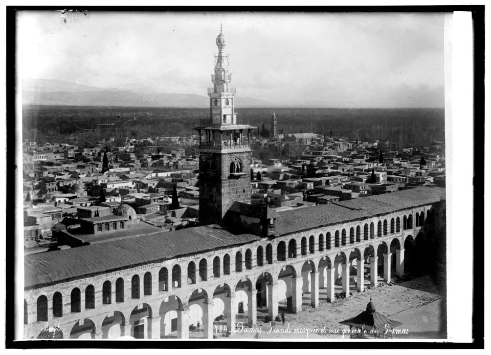 Palestine Univ of Damascus and the Grand Mosque LCCN2016821051