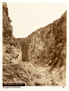 Palestropasset, Algeriet - Hallwylska museet - 107959