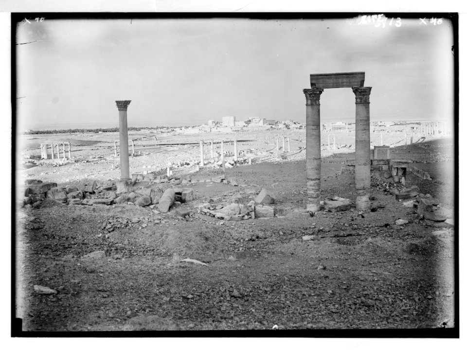 Palmyra. Distant view looking down from western castle hill LOC matpc.02877