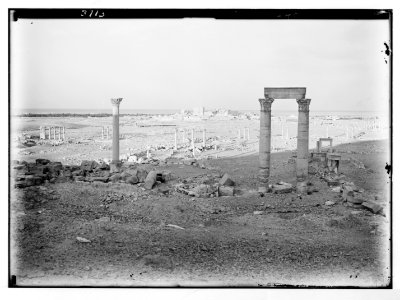 Palmyra. General view of ruins LOC matpc.02878