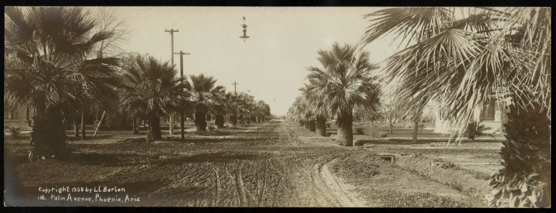 Palm Avenue, Phoenix, Arizona - Lester Clement Barton. LCCN2013646875