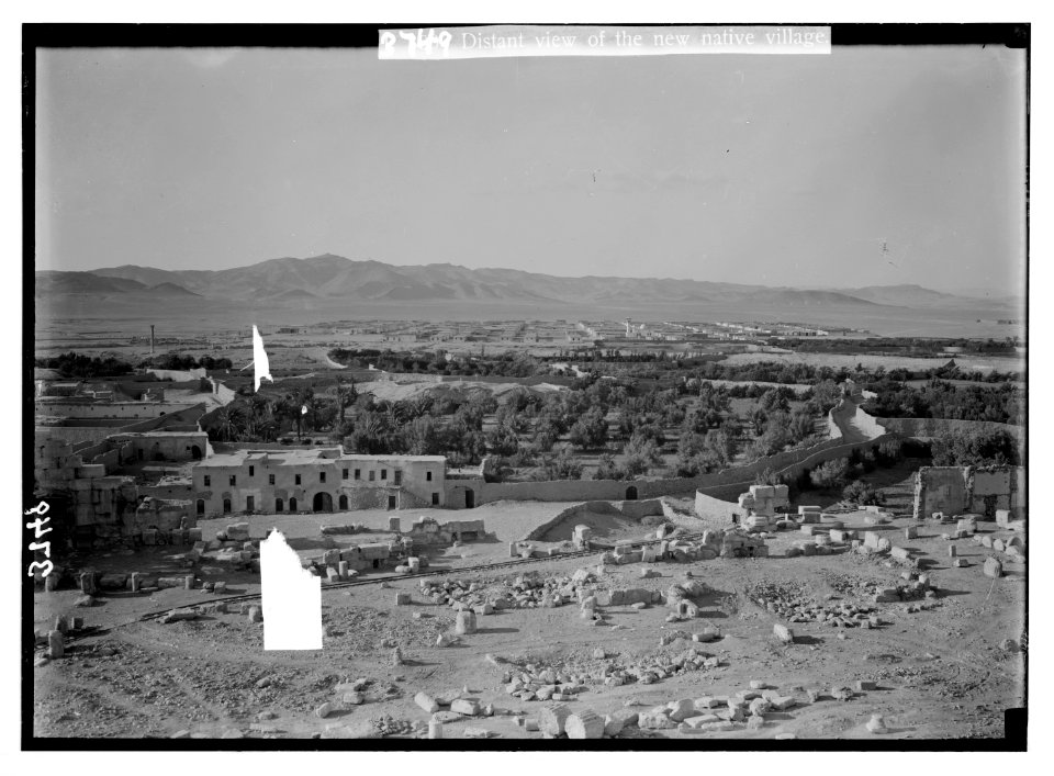 Palmyra. The new village. Substituting the old village formerly in temple courts LOC matpc.02897