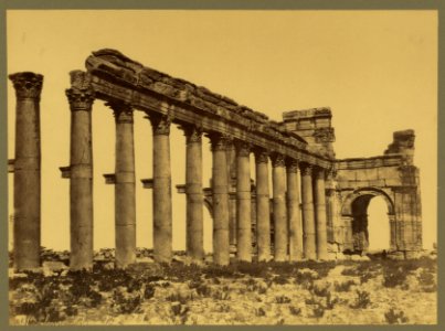 Palmyre. Colonnade et arc de triomphe de l'ouest. Syrie - Bonfils. LCCN2004670470