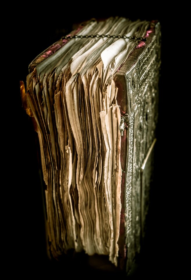 Bible the new testament gospel