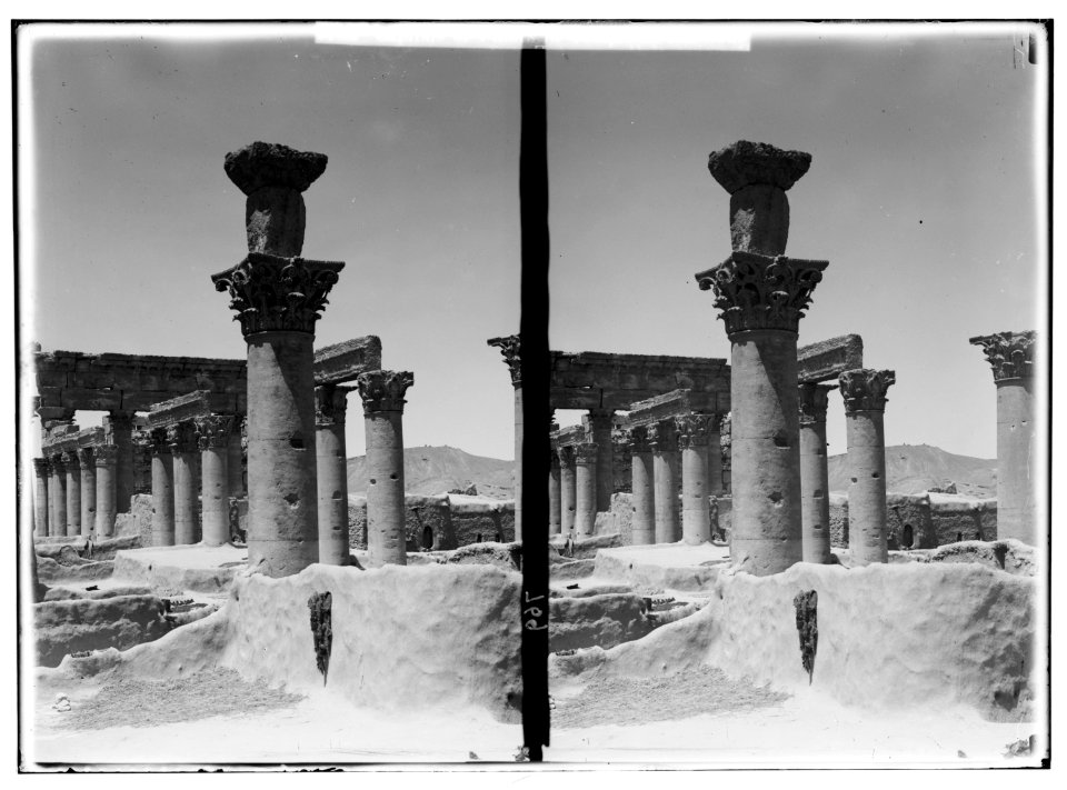 Palmyra (Tadmor). Capitals of pillars in Temple of the Sun LOC matpc.01424