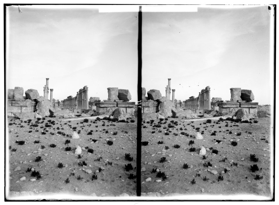 Palmyra (Tadmor). General view of the grand colonnade LOC matpc.01432