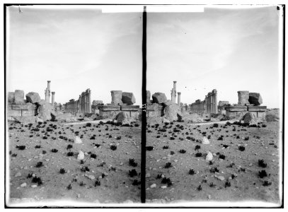 Palmyra (Tadmor). General view of the grand colonnade LOC matpc.01432