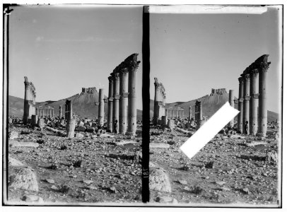 Palmyra (Tadmor). Looking along colonnade to Turkish castle LOC matpc.01437