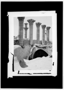 Palmyra (Tadmor). Pillars in Temple of the Sun LOC matpc.01427