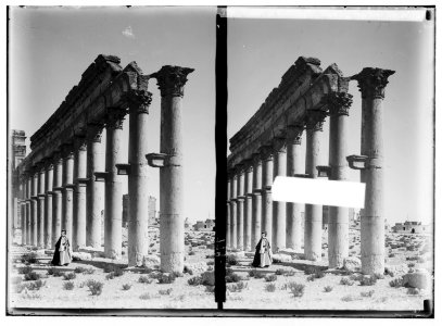 Palmyra (Tadmor). Pillars of colonnade, showing brackets for statues LOC matpc.01435