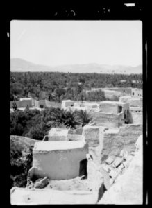 Palmyra. The oasis & village taken from the S. wall of temple LOC matpc.15508