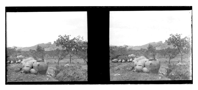 Paisatge agrícola . Al fons, el castell de Miravet