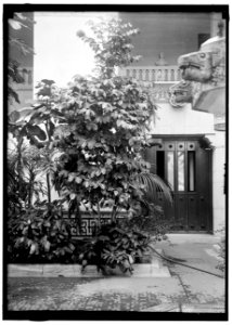 PAN AMERICAN UNION. CORNER OF PATIO LCCN2016867487