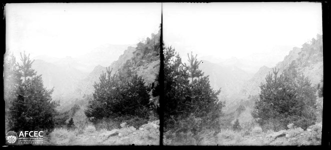 Paisatge muntanyós des del coll dels Llengots amb arbres en primer terme photo