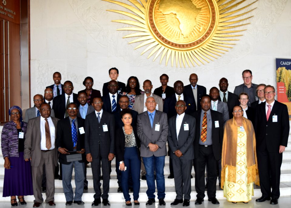 Pan African University Council (29116605661)